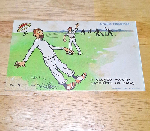 Halcyon cards humour cricket - cards,