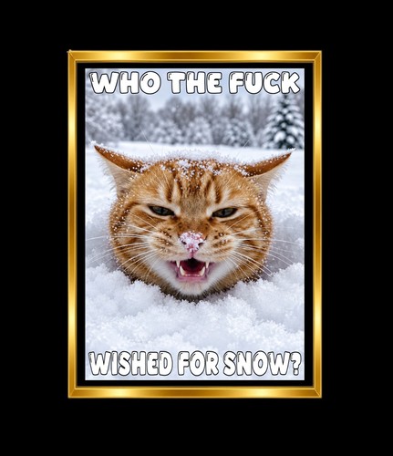 Christmas xmas card funny rude - xmas,