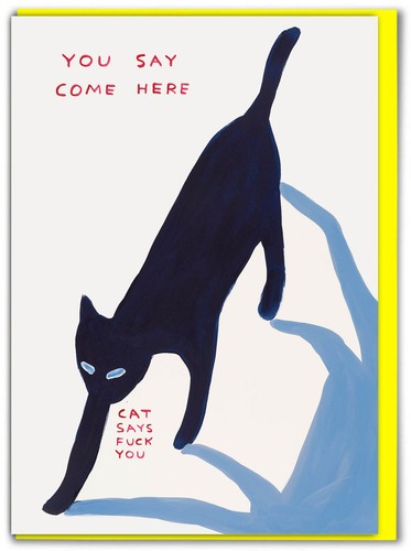 David shrigley birthday card - shrigley,