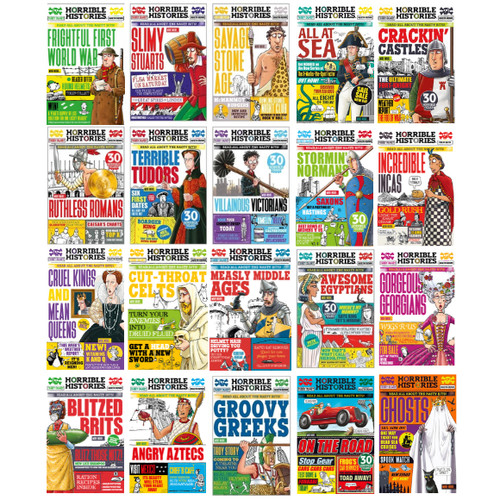 Horrible histories book - horrible,