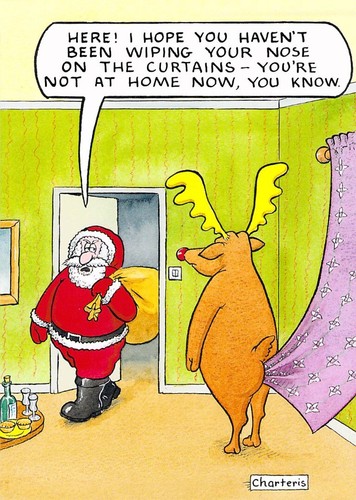 Funny christmas card - christmas,