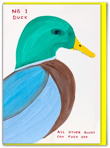 David shrigley birthday - david, card