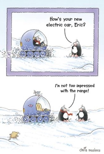 Funny eric the penguin - eric,