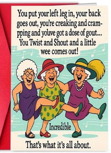 Female funny birthday card - funny,