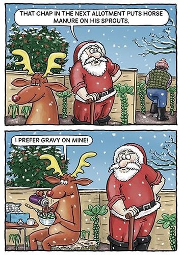 Funny christmas card - funny,