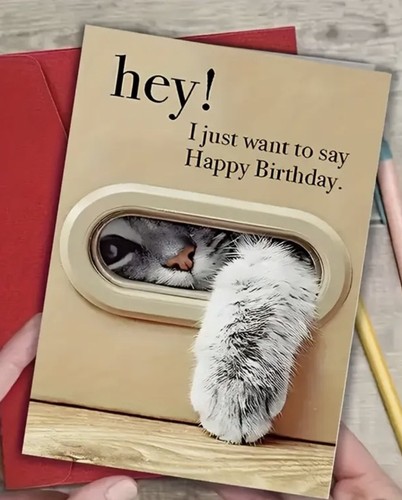 Birthday card for cat lovers - birthday,