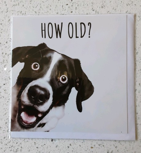 Birthday card with stickers - birthday,