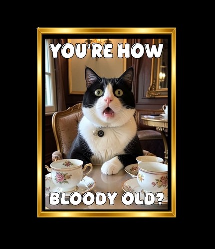 Birthday card funny - funny, rude