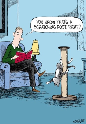 Funny birthday card - funny,