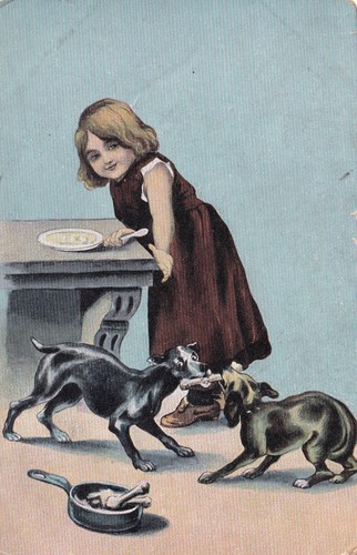 Dog postcard humor - dog,