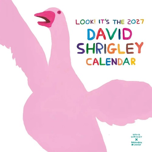 David shrigley calendar - david,