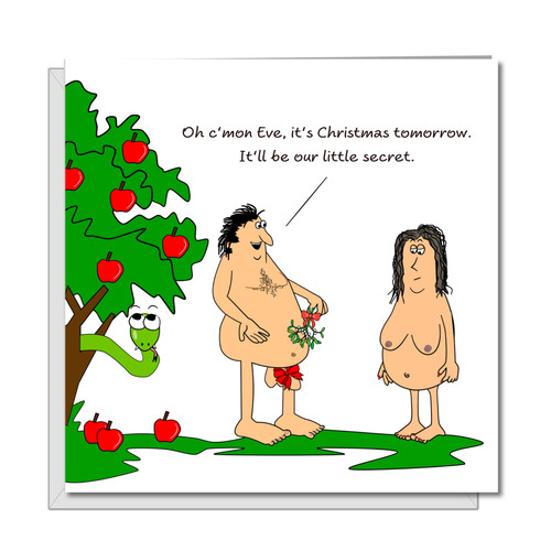 Funny christmas card - funny, adam