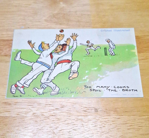 Halcyon cards humour cricket - cards,