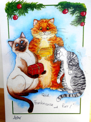 The cat magi gold - the, ~