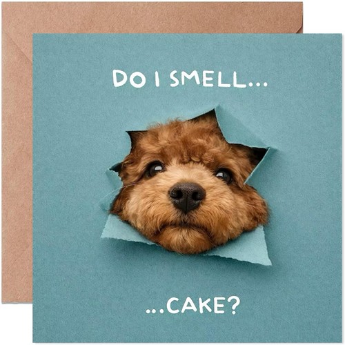 Funny dog birthday card - dog,