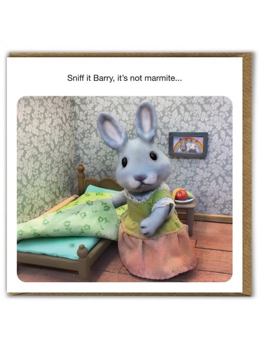 Funny birthday card - funny,
