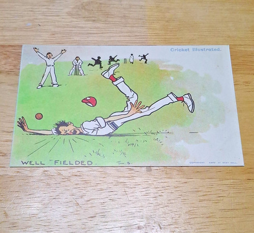Halcyon cards humour - humour, cricket