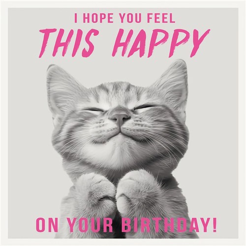 Funny birthday card cat - birthday,