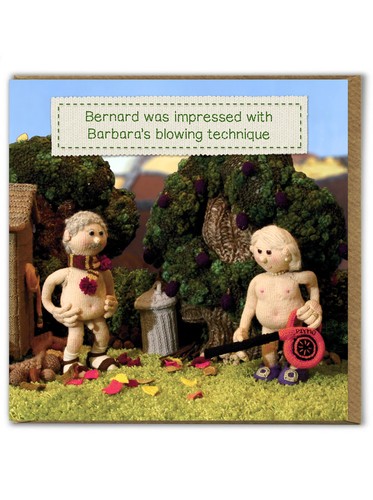 Funny birthday card nudinits - birthday,